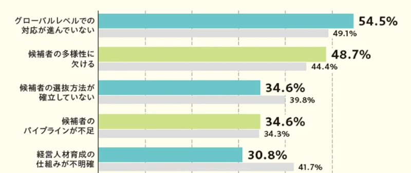 次世代リーダー発掘・育成全般の課題は何ですか。