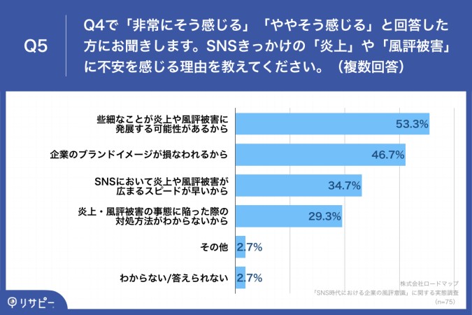 「Q5.SNSきっかけの「炎上」や「風評被害」に不安を感じる理由を教えてください。（複数回答）」  ・些細なことが炎上や風評被害に発展する可能性があるから：53.3% ・企業のブランドイメージが損なわれるから：46.7% ・SNSにおいて炎上や風評被害が広まるスピードが早いから：34.7% ・炎上・風評被害の事態に陥った際の対処方法がわからないから：29.3% ・その他：2.7% ・わからない/答えられない：2.7%